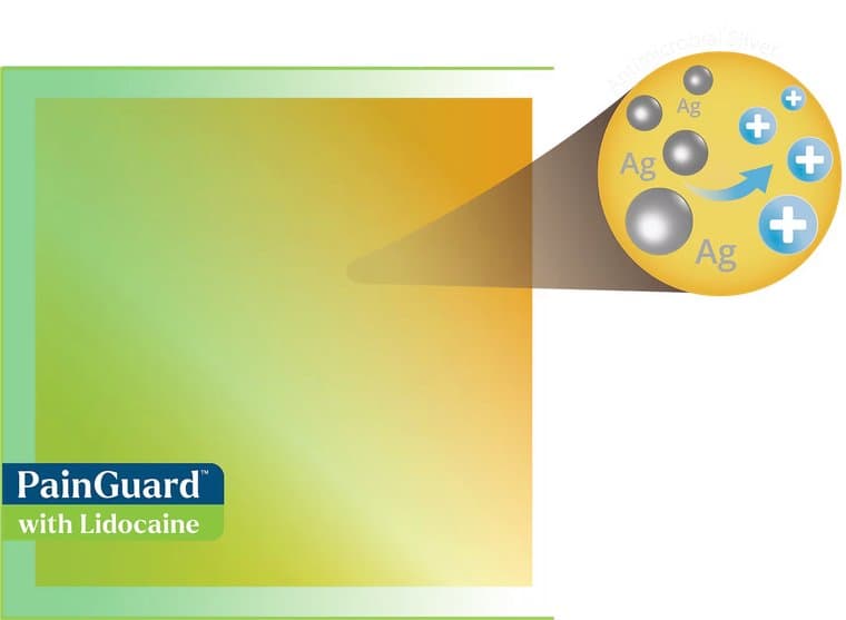 Microlyte® PainGuard